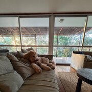 Home Owner wanting sitter in , Queensland
