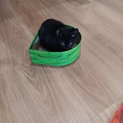 Home Owner wanting sitter in Mandurah, Western Australia