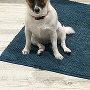 Home Owner wanting sitter in Halfway between Brisbane and the Gold Coast, Queensland