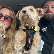 House Sitter - Caring couple who love animals!