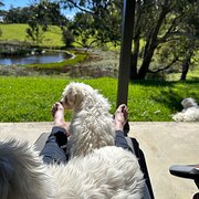 Home Owner wanting sitter in Sydney, New South Wales