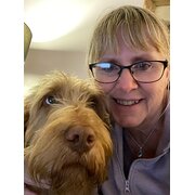 House Sitter - Aussie Gypsy