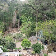 Home Owner wanting sitter in Melbourne, Victoria