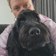House Sitter - Reliable House sitter & Animal lover