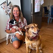 House Sitter - Caring for a home like my own 