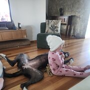 House Sitter - Welovehousesitting!