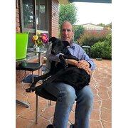 Home Owner wanting sitter in Melbourne, Victoria