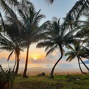 Home Owner wanting sitter in Cairns, Queensland