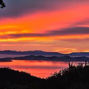 Home Owner wanting sitter in Hobart , Tasmania