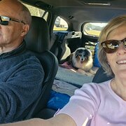 Home Owner wanting sitter in Aroona, Queensland