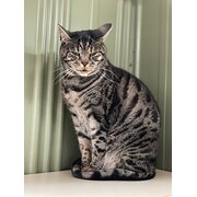 Home Owner wanting sitter in Melbourne, Victoria