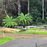 Home Owner wanting sitter in Hobart, Tasmania