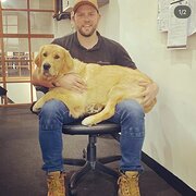 Home Owner wanting sitter in Melbourne, Victoria