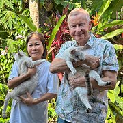 House Sitter - Cat Lover/Gardener/Airbnb Superhost