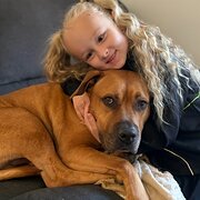 Home Owner wanting sitter in , New South Wales