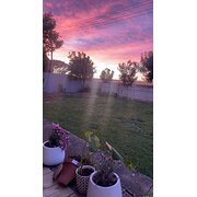 Home Owner wanting sitter in Horsham, Victoria