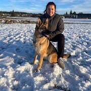 House Sitter - Reliable Kiwi Couple for sitting