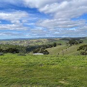 Home Owner wanting sitter in Gawler , South Australia