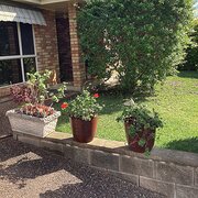 Home Owner wanting sitter in Newcastle , New South Wales