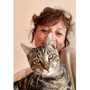 House Sitter - Ms