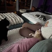 Home Owner wanting sitter in , South Australia