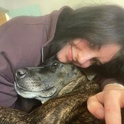 House Sitter - Pet Paradise with Maddison