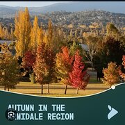 Home Owner wanting sitter in Tamworth, New South Wales