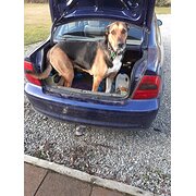 House Sitter - All Creatures Great and Small