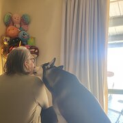 House Sitter - Kind, caring, vegan animal lover