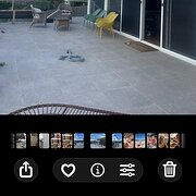 Home Owner wanting sitter in Geelong, Victoria