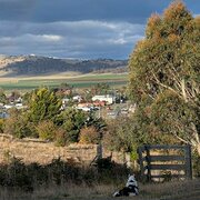 Home Owner wanting sitter in , Tasmania