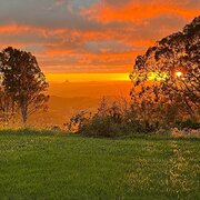 Home Owner wanting sitter in Brisbane, Queensland