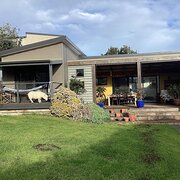 Home Owner wanting sitter in Warrnambool, Victoria
