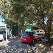 Home Owner wanting sitter in Adelaide, South Australia
