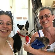 House Sitter - Miss