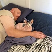 Home Owner wanting sitter in Melbourne , Victoria