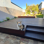 Home Owner wanting sitter in Sydney, New South Wales