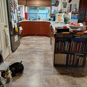 Home Owner wanting sitter in Adelaide, South Australia