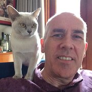 House Sitter - Friendly, reliable, experienced sitter