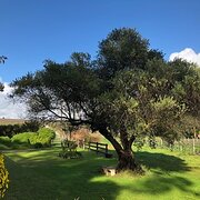 Home Owner wanting sitter in Adelaide, South Australia
