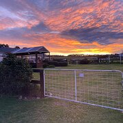 Home Owner wanting sitter in , Victoria
