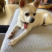 Home Owner wanting sitter in Bunbury , Western Australia