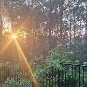 Home Owner wanting sitter in Brisbane, Queensland
