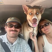 House Sitter - Best Pet Sitter in Aus!