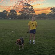 House Sitter - Responsible Young Animal Loving Couple