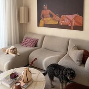 Home Owner wanting sitter in Geelong / Torquay , Victoria
