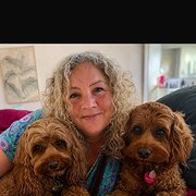 House Sitter - Sara 