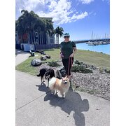 House Sitter - Airlie Beach