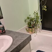 Home Owner wanting sitter in PERTH, Western Australia