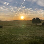 Home Owner wanting sitter in Tamworth, New South Wales
